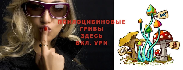 СК Абдулино
