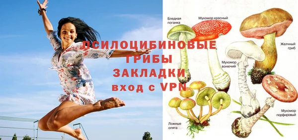 дурь Абинск