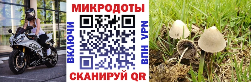 Галлюциногенные грибы GOLDEN TEACHER  Вытегра 